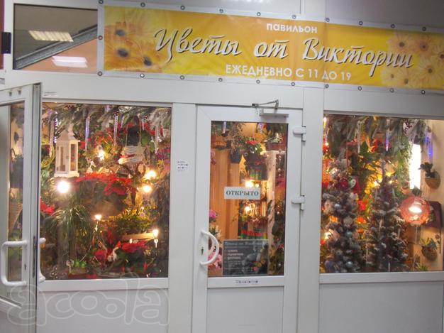 Продажа цветочного бизнеса - в магазин в частной собственности
